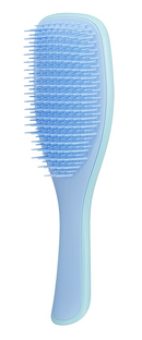 Tangle Teezer Antiklit Haarborstel Wet Blue 1ST