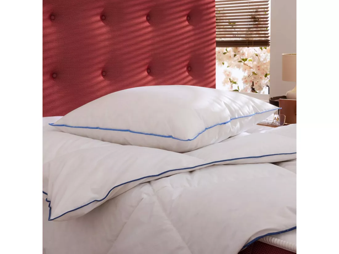 Lot de 2 oreillers moelleux/ferme duvet de canard anti-allergènes Someo 60x60