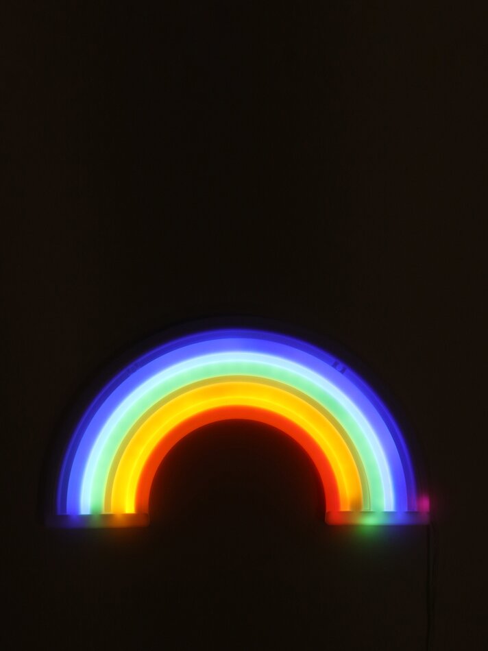 Luz de néon LED arco-íris - Vários