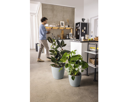 Lechuza Classico Eco plantenbak van 100% gerecycled kunststof, Ø 28 cm, lichtgrijs, inclusief zelfbewateringssysteem