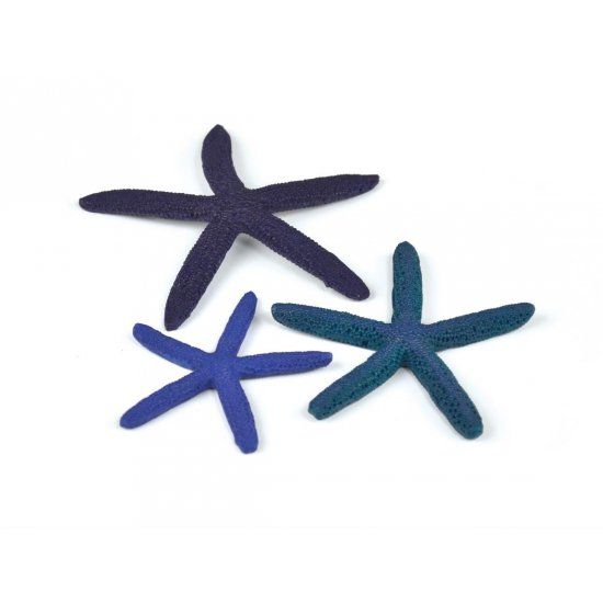 Star Fish blue