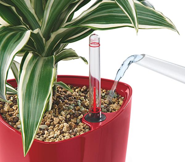 LECHUZA® DELTA, All-in-One-Set