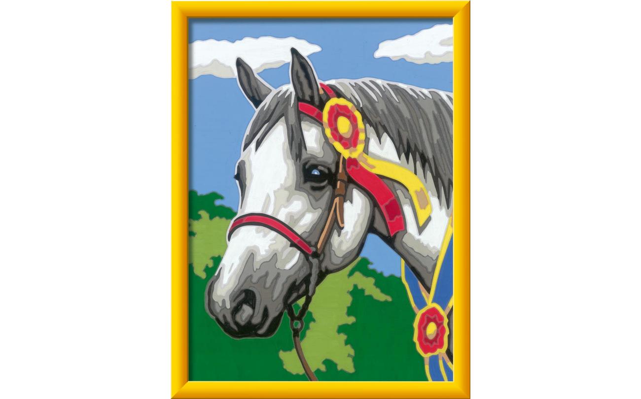 Racepaard
