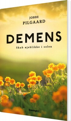 Demens - Glem Ikke Øjeblikke Af Solskin - Jobbe Pilgaard - Bog