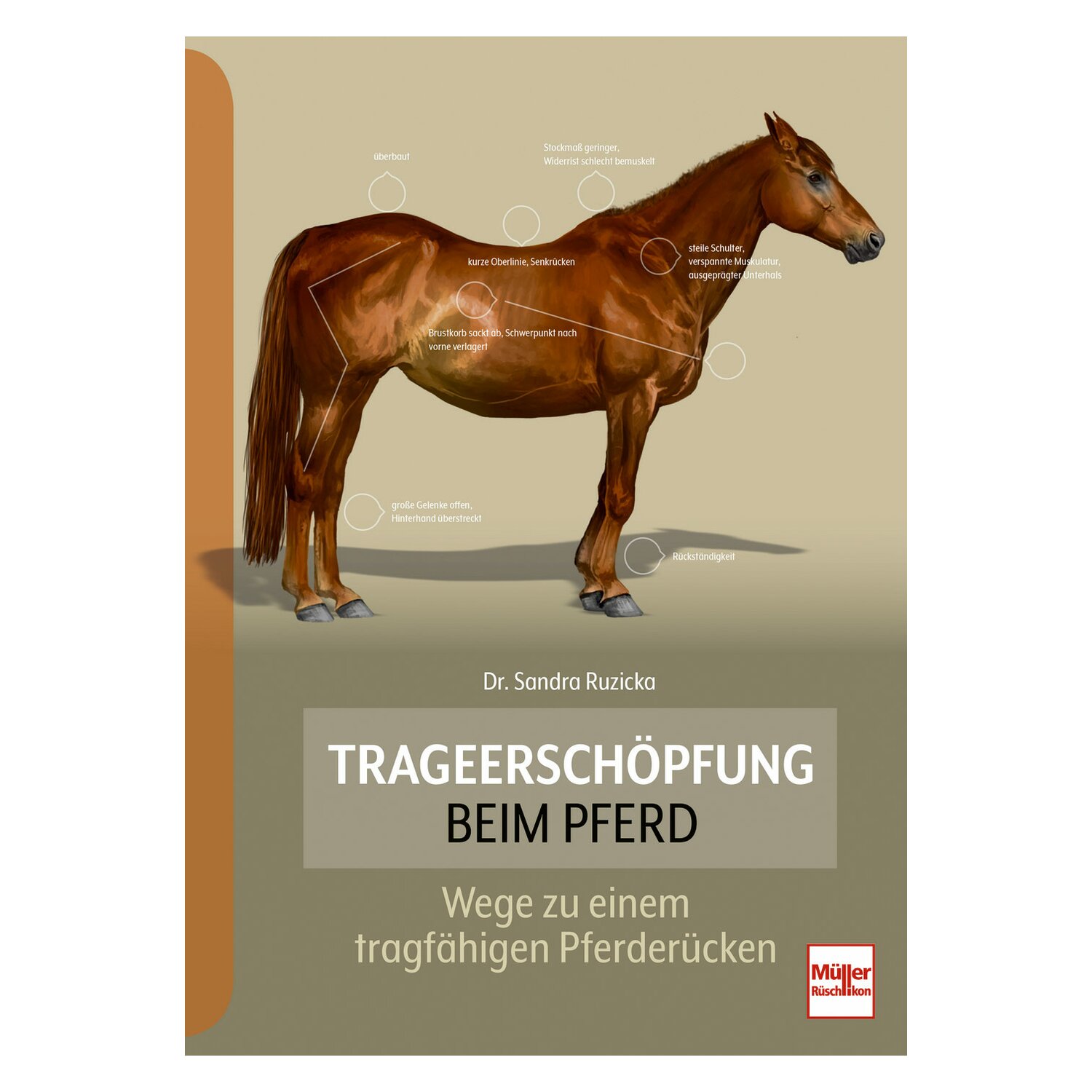 Trageerschöpfung beim Pferd