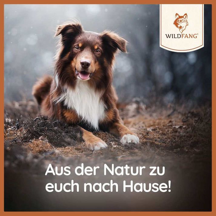 WILDFANG® Paket 