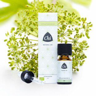 Chi Engelwortel Co2 Extract Bio 2,5ML