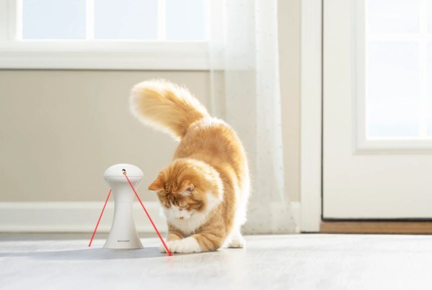 Petsafe kattenspeelgoed Frolicat automatische multi-laser D 10 H 35 cm