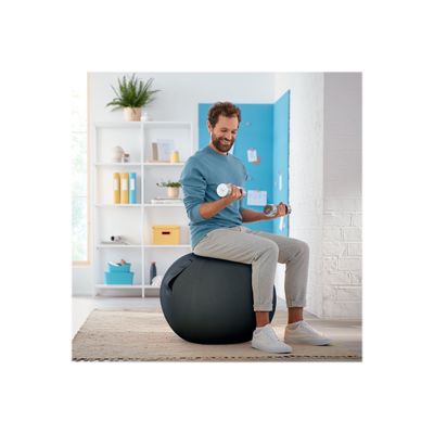 Leitz Ergo Cosy Active - Ballon d'assise - diamètre de 65 cm - gris velours