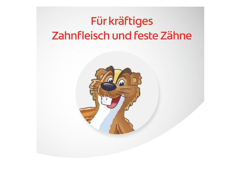 Colgate Zahnpasta Dentagard Original 100 ml Zahncrème mit Naturkräuterextrakten