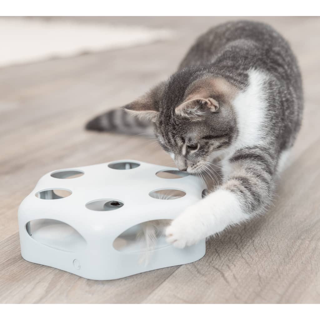 Brinquedo para Gatos