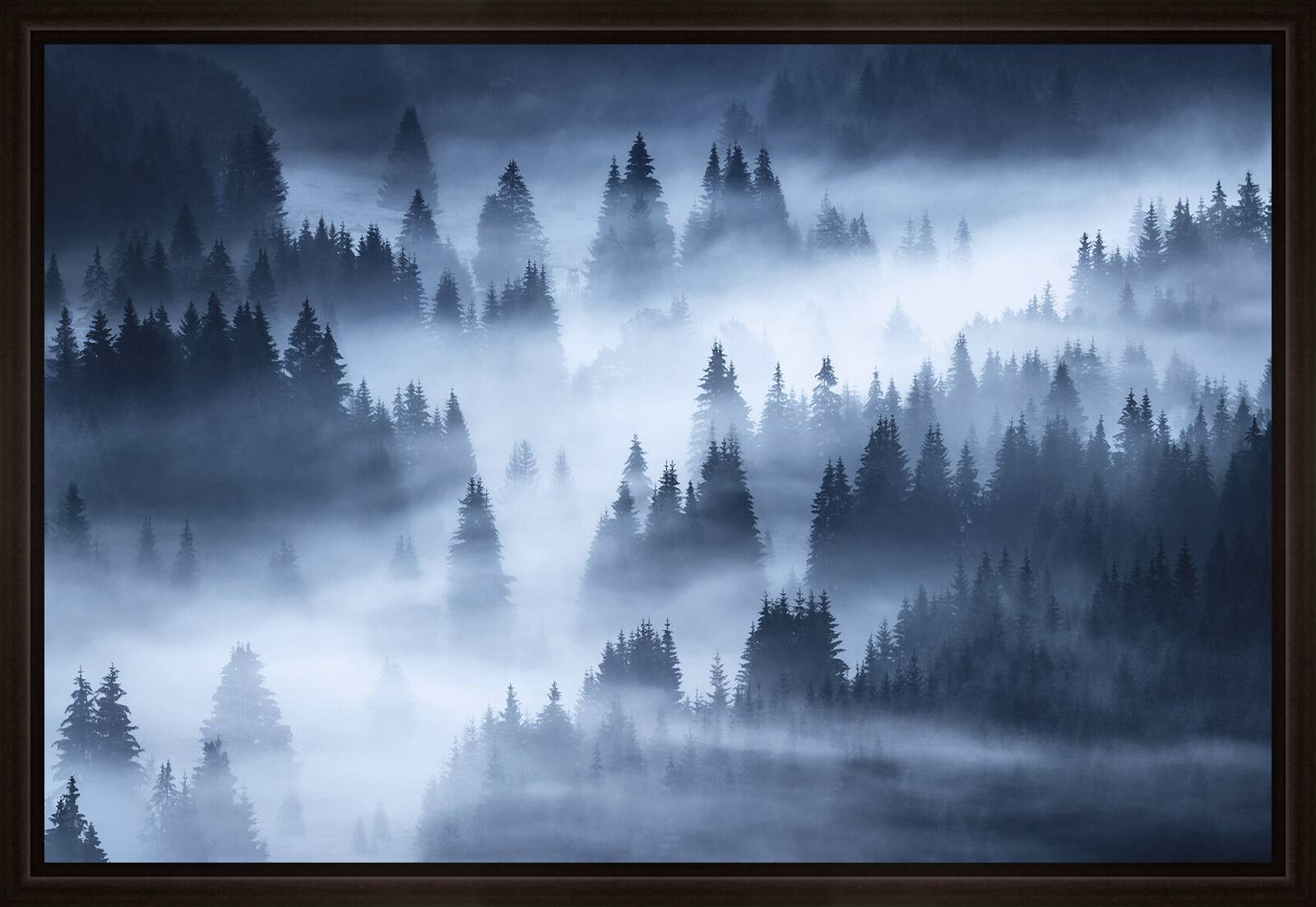 Hour of Trees by Kilian Schönberger - Limited Edition. Edition of: 150. Signed.
