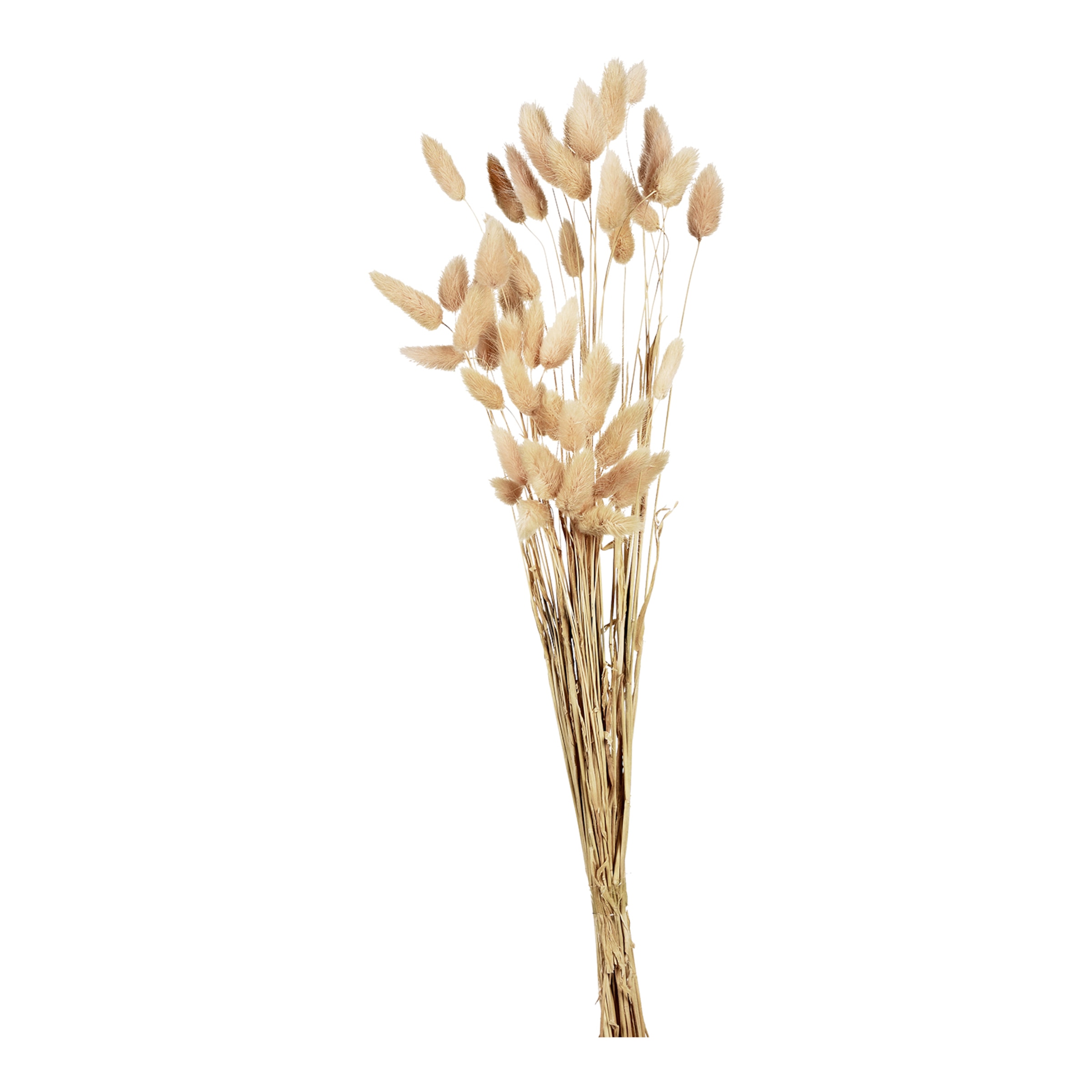 natur, L 60 cm