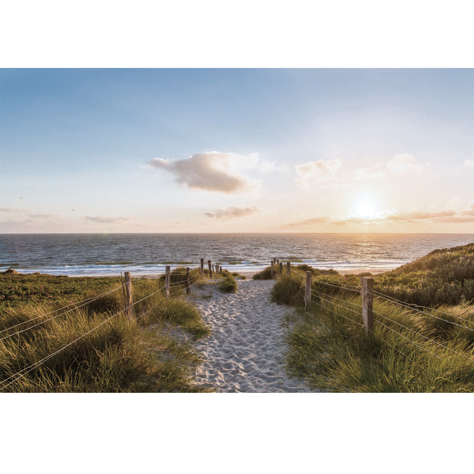 Keilrahmenbild STRAND - 118x78 cm