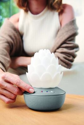 SkipHop Succulent Nattlampe med Gråtesensor