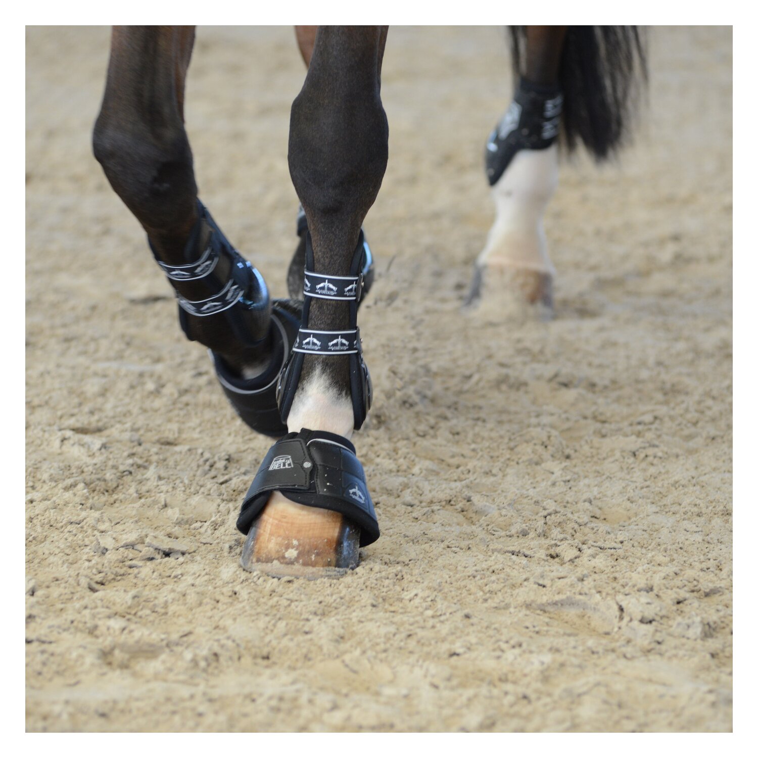 VEREDUS Hufglocken Jumping  - black