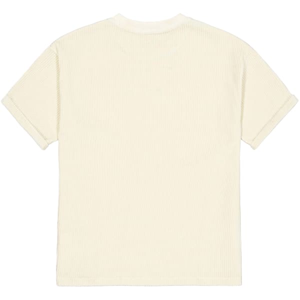 T-shirt PICTURE KIARRA VELOURS TEE W CAP WHITECAP GRAY