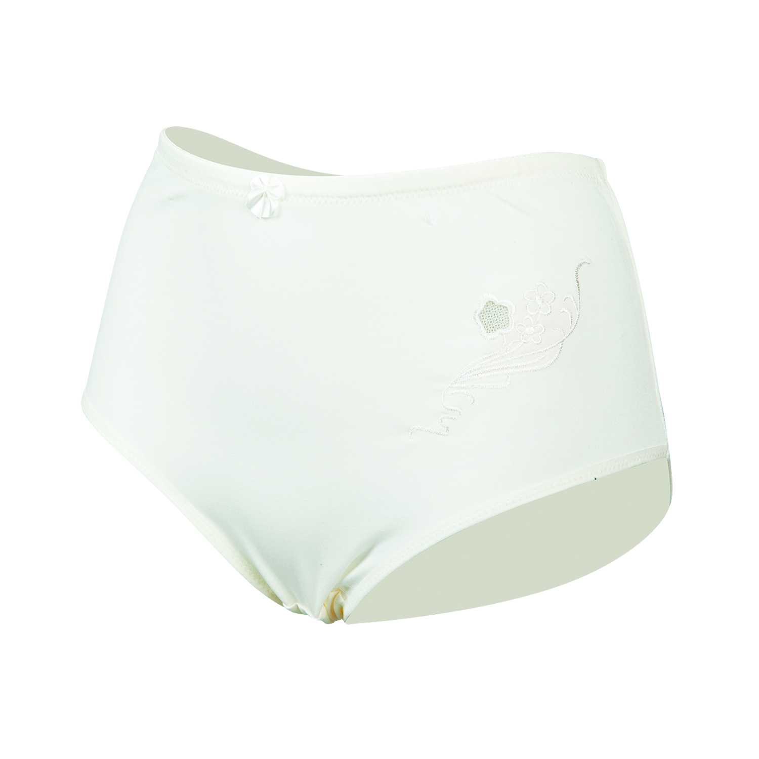 Damen Slip Microfaser mit Stickerei Gr. 40/42–52/54 pastellfarben 2er 6fach