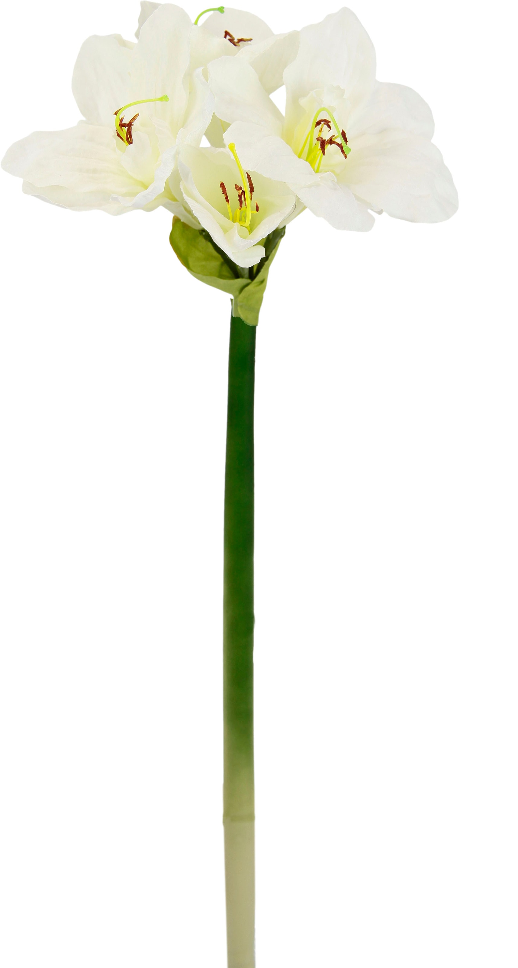 I.GE.A. Kunstblume »Amaryllis« Kunst-Stielblume, 3er Set