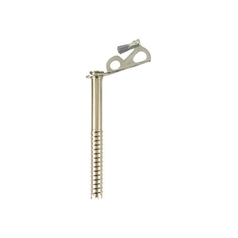 Black Diamond Express Ice Screw 19Cm