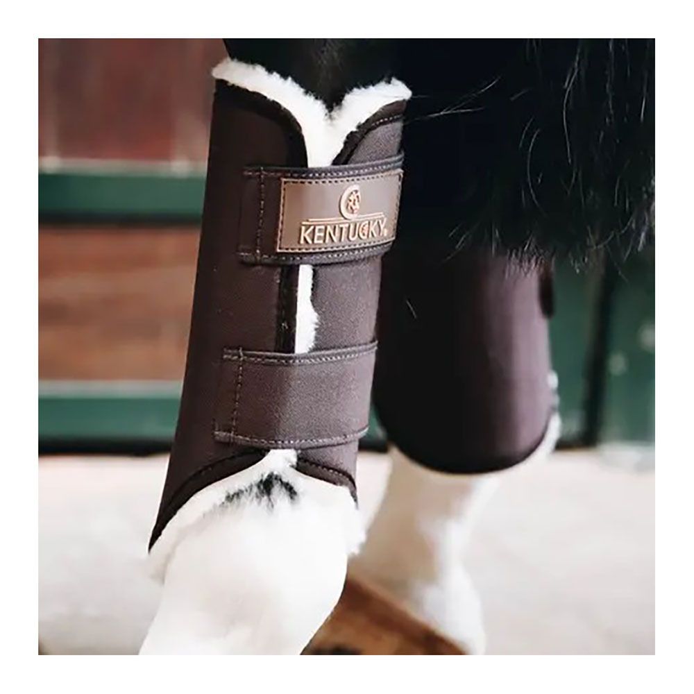 Kentucky SOLIMBRA - Guêtre postérieur choco