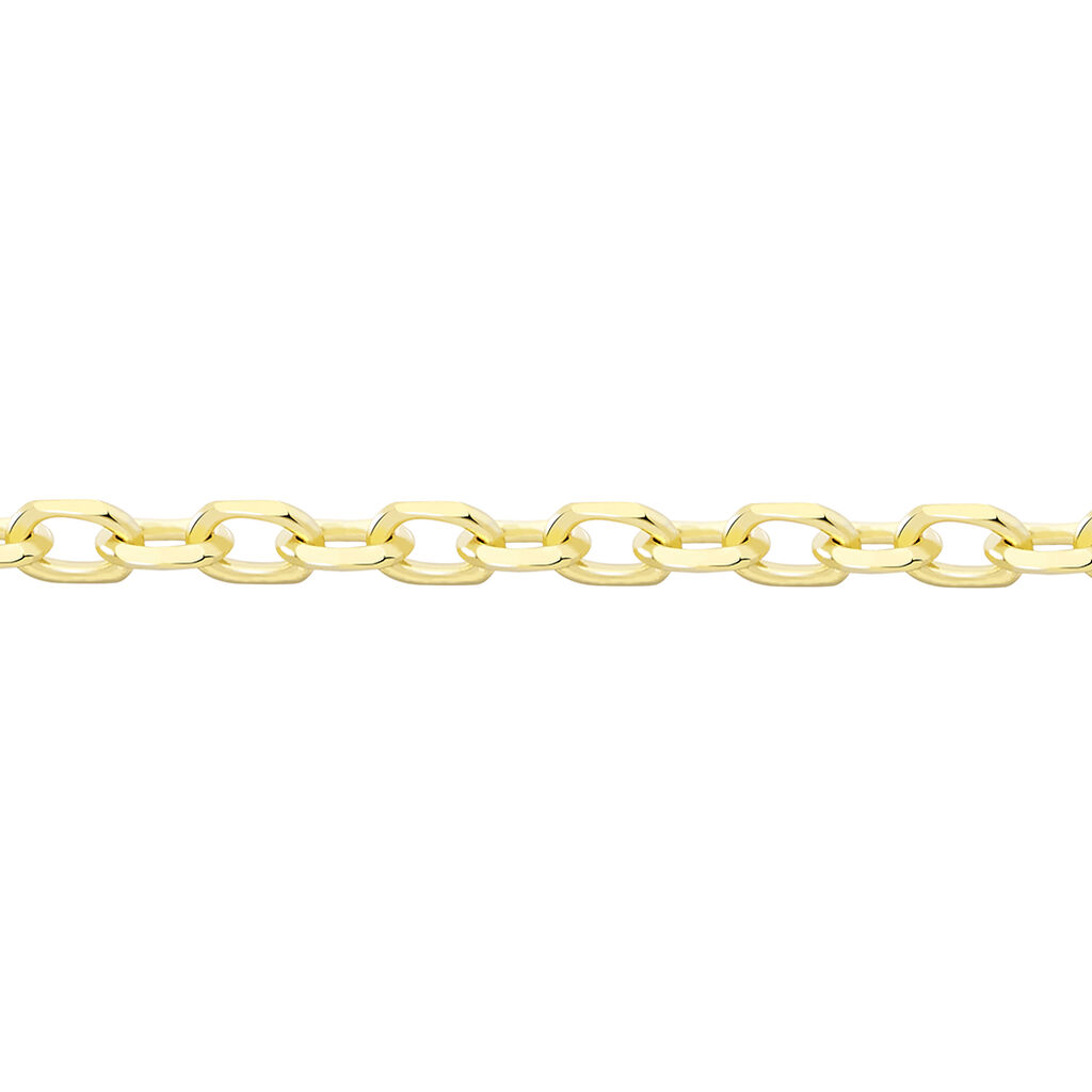 Chaîne Igoa Maille Forçat Diamantee Or Jaune