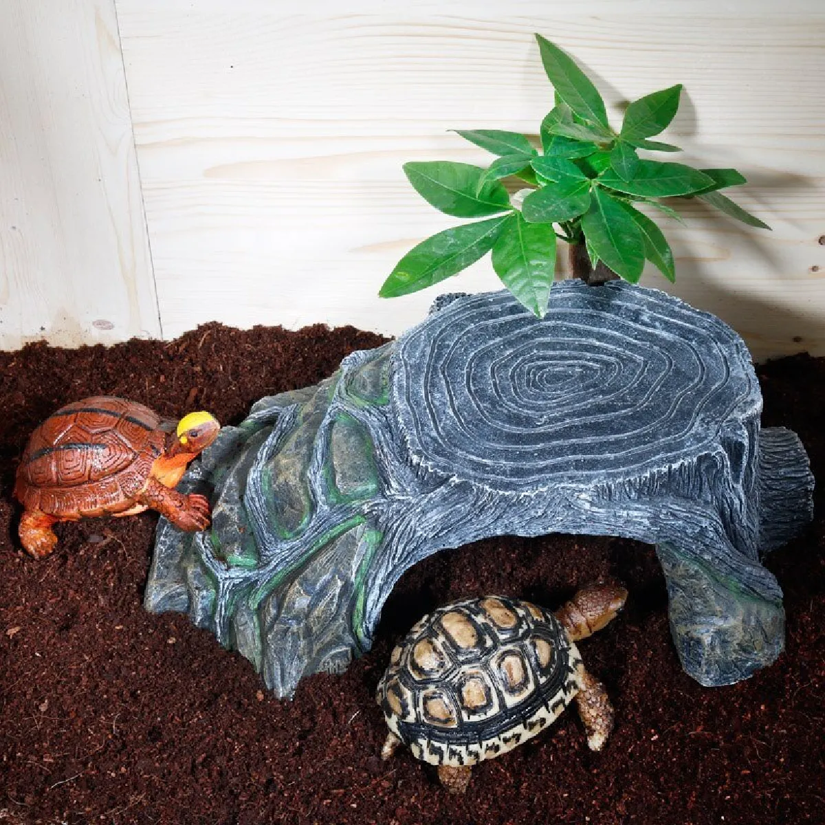 Universal Résine Reptile Habitat Cachée