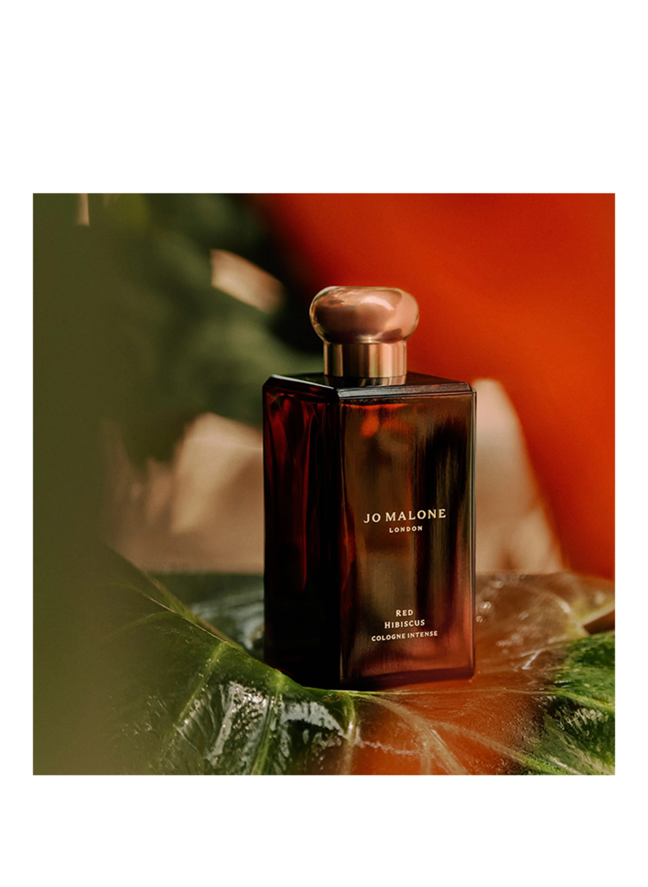 JO MALONE LONDON RED HIBISCUS