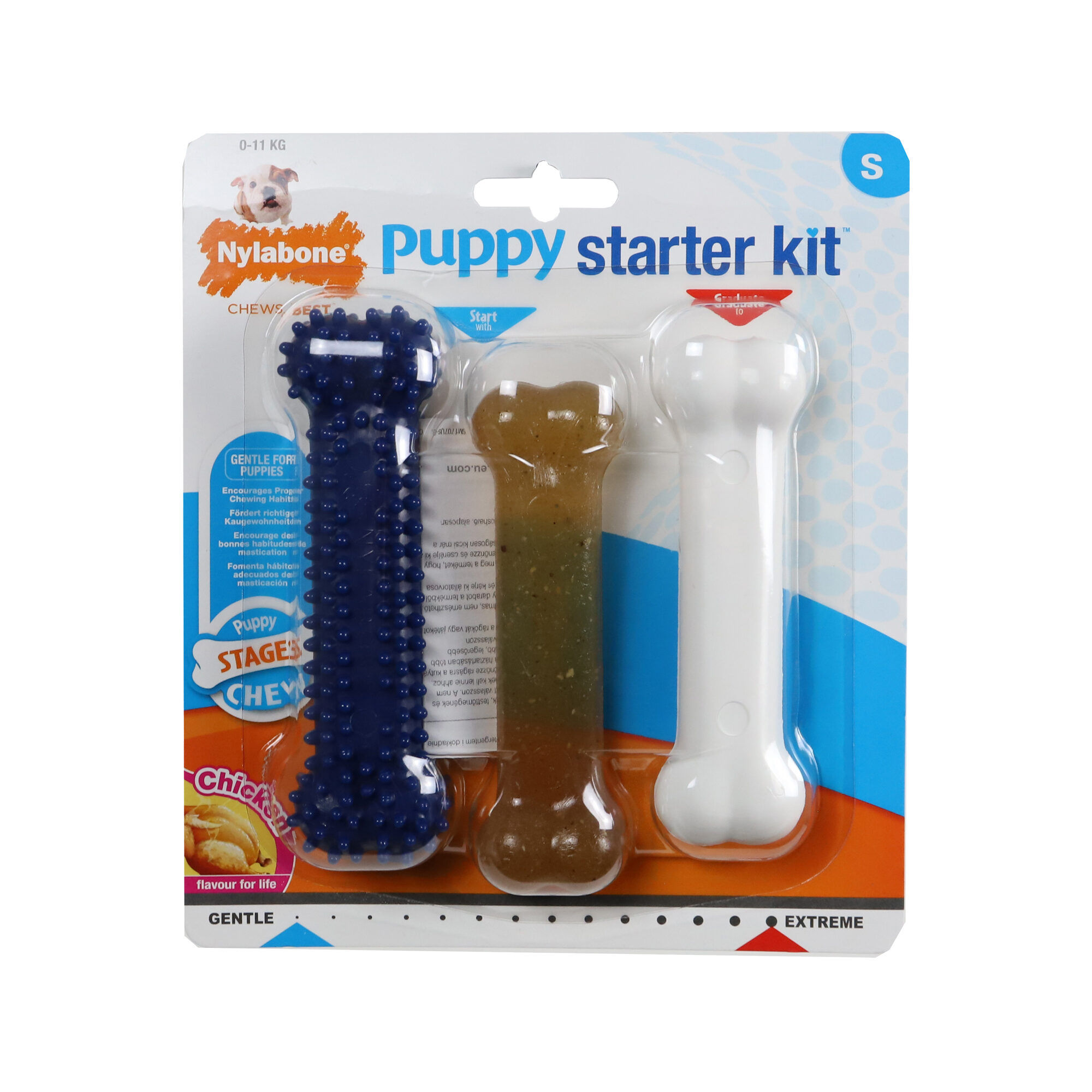 Nylabone Puppy Starter Kit