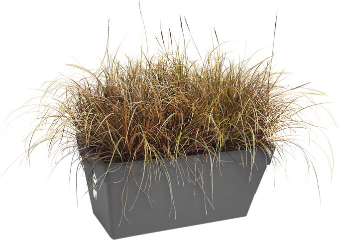 Elho plantenbak Loft Urban antraciet 69,3 x 33,8 x 32,5 cm