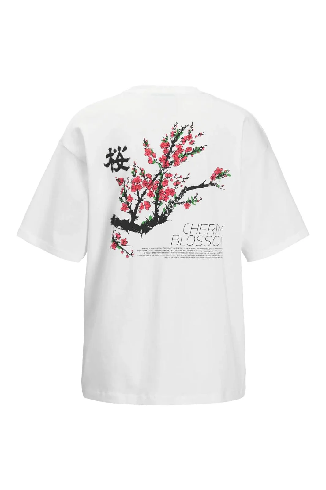 Jjxx Jxmillow Loose Ss Tee Stydss25