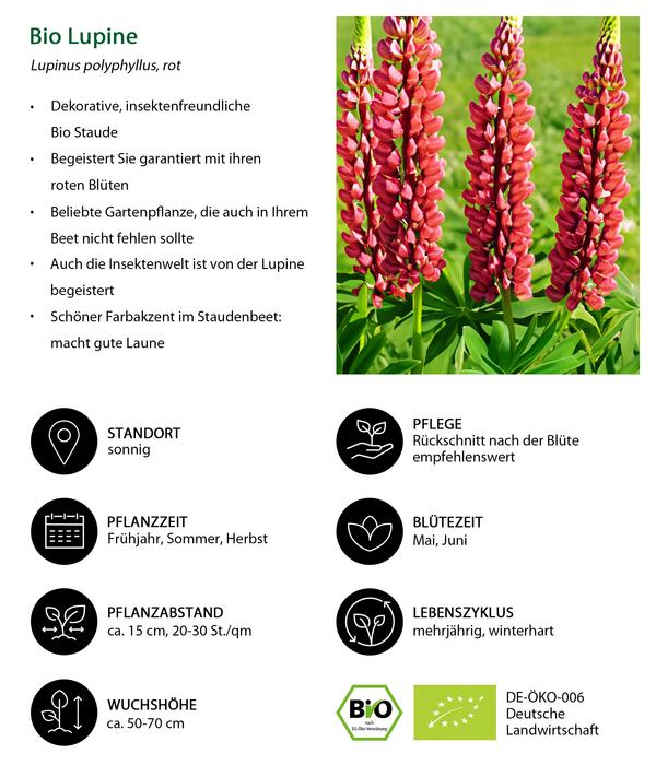 Bio Lupine, rot