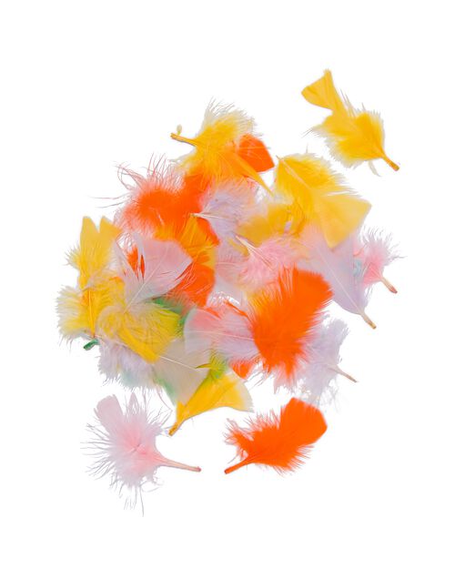 100 plumes