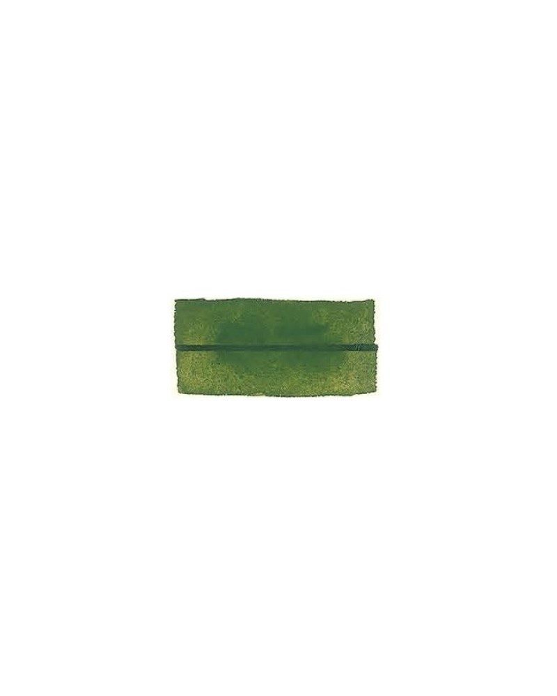 Vert de Chrome - 262