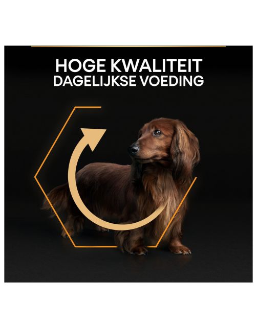 Pro Plan Dog Adult Small & Mini Breed Kip - Hondenvoer