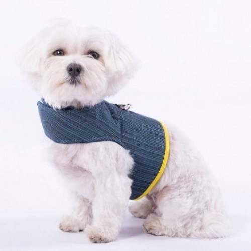 Arnês para cães Groc Groc Yuki azul
