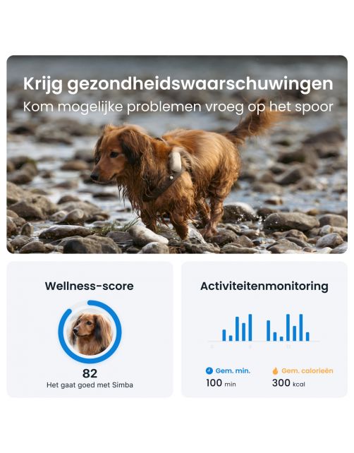 Tractive Gps Dog 4 Hondentracker En Activiteitenmonitor 17x71x28 mm - Hondenlocatievinder