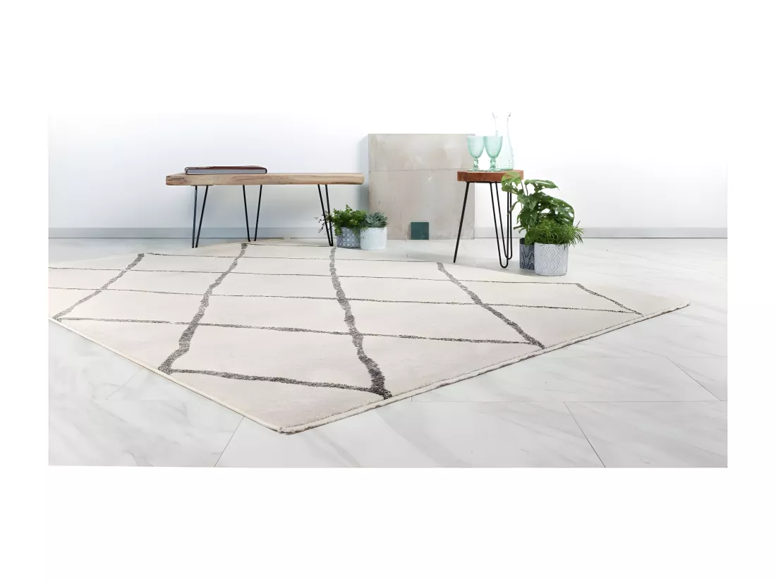 Tapis 230x160cm, design A105R coloris Ivoire - Confort et élégance pour votre intérieur