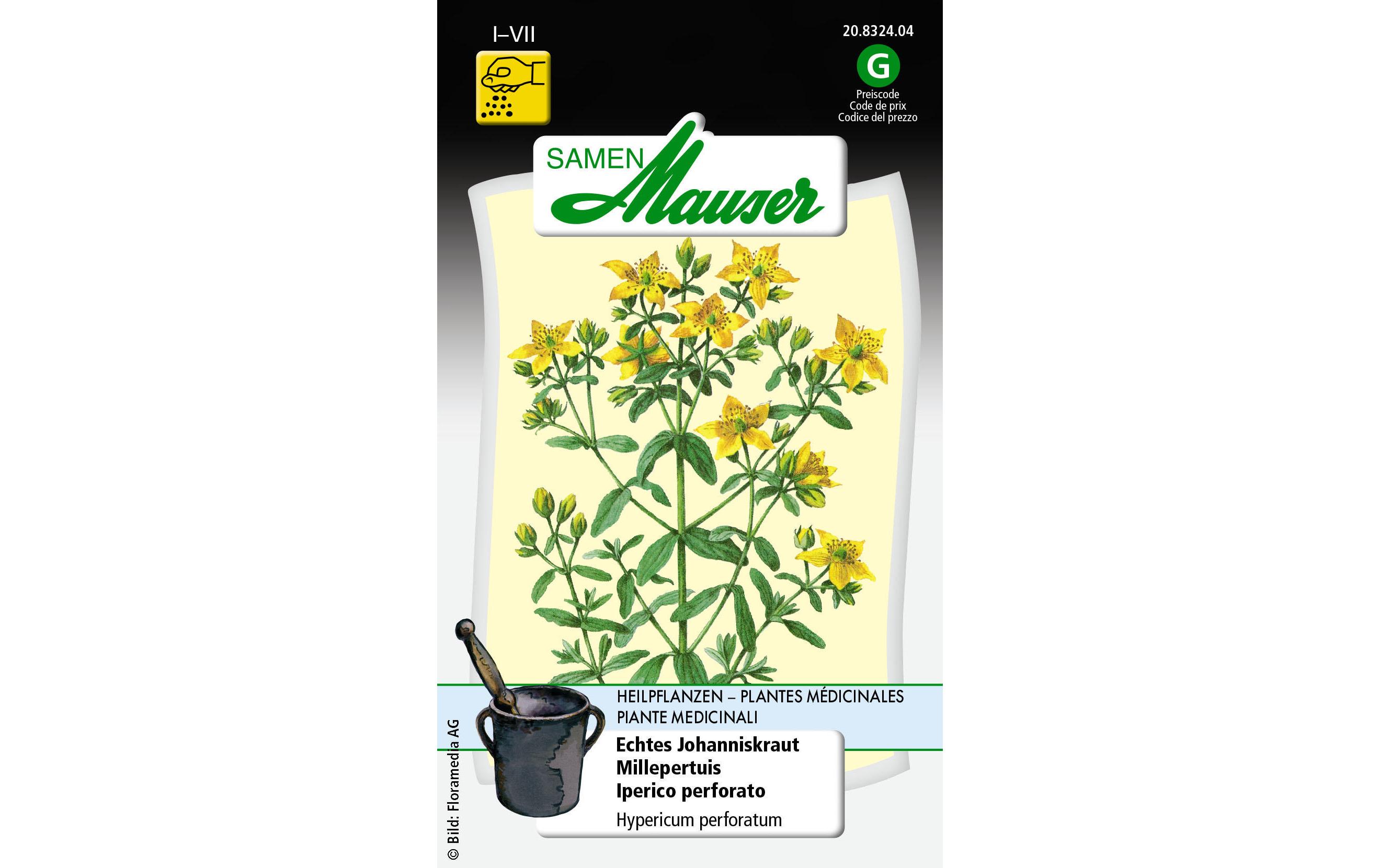 Heilpflanzen Echtes JohanniskrautBlumensamen