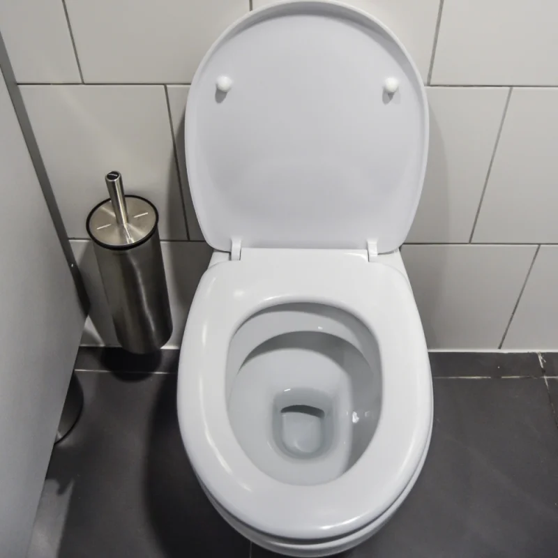ACTEMIA - Poudre antitartre WC - 6 boîtes