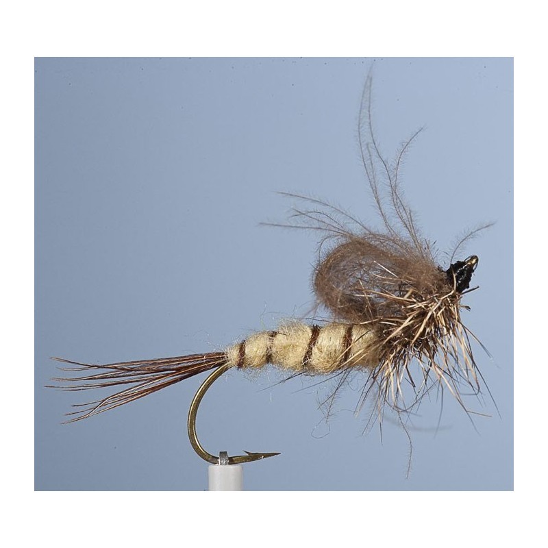 Mouche Jmc Emergente 41