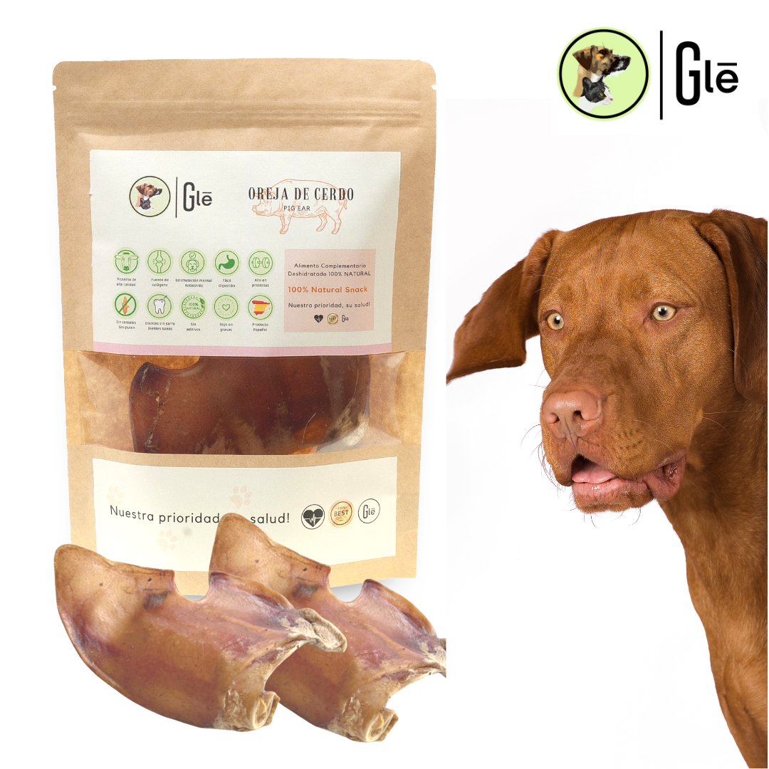 Orelhas de porco desidratadas GLE PETS para cães, petiscos 100% naturais.
