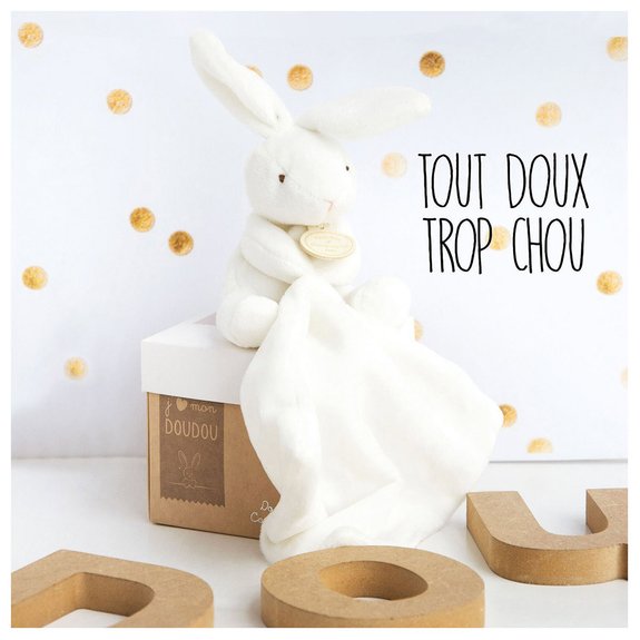Lapin Mouchoir boîte fleur