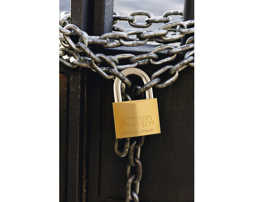 Abus 75/40 messing hangslot, slotplaatje, 40 mm