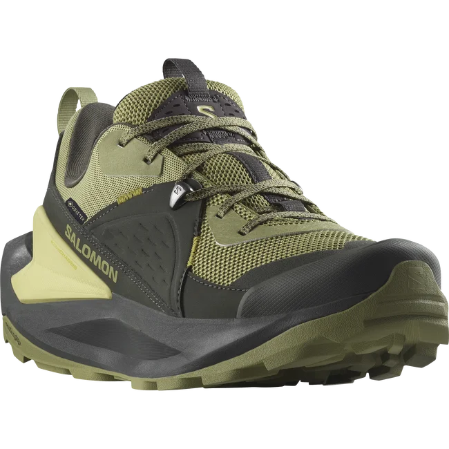 ELIXIR GORE-TEX  Hiking-Halbschuhe Herren