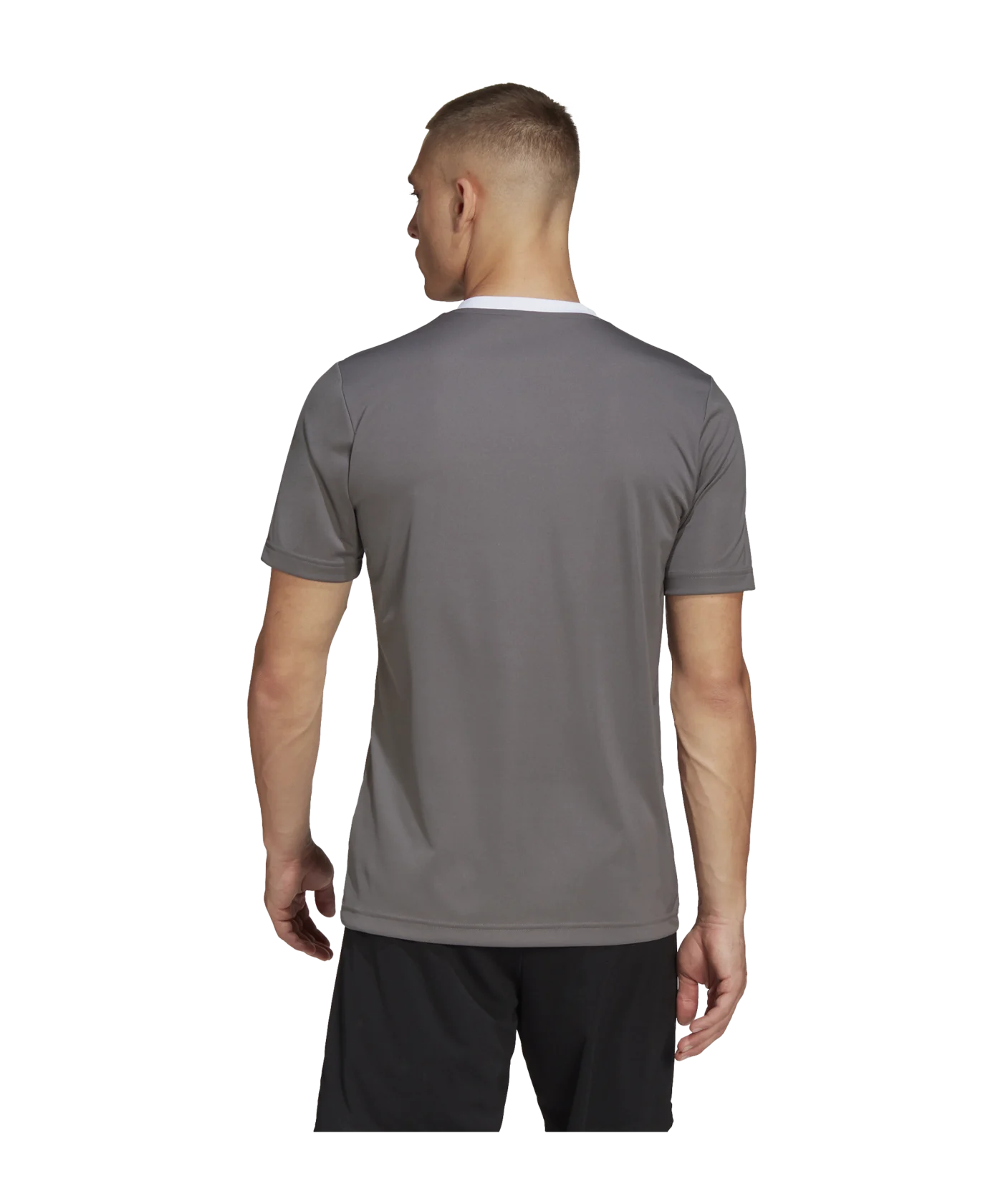 adidas Entrada 22 Trikot Grau Weiss
