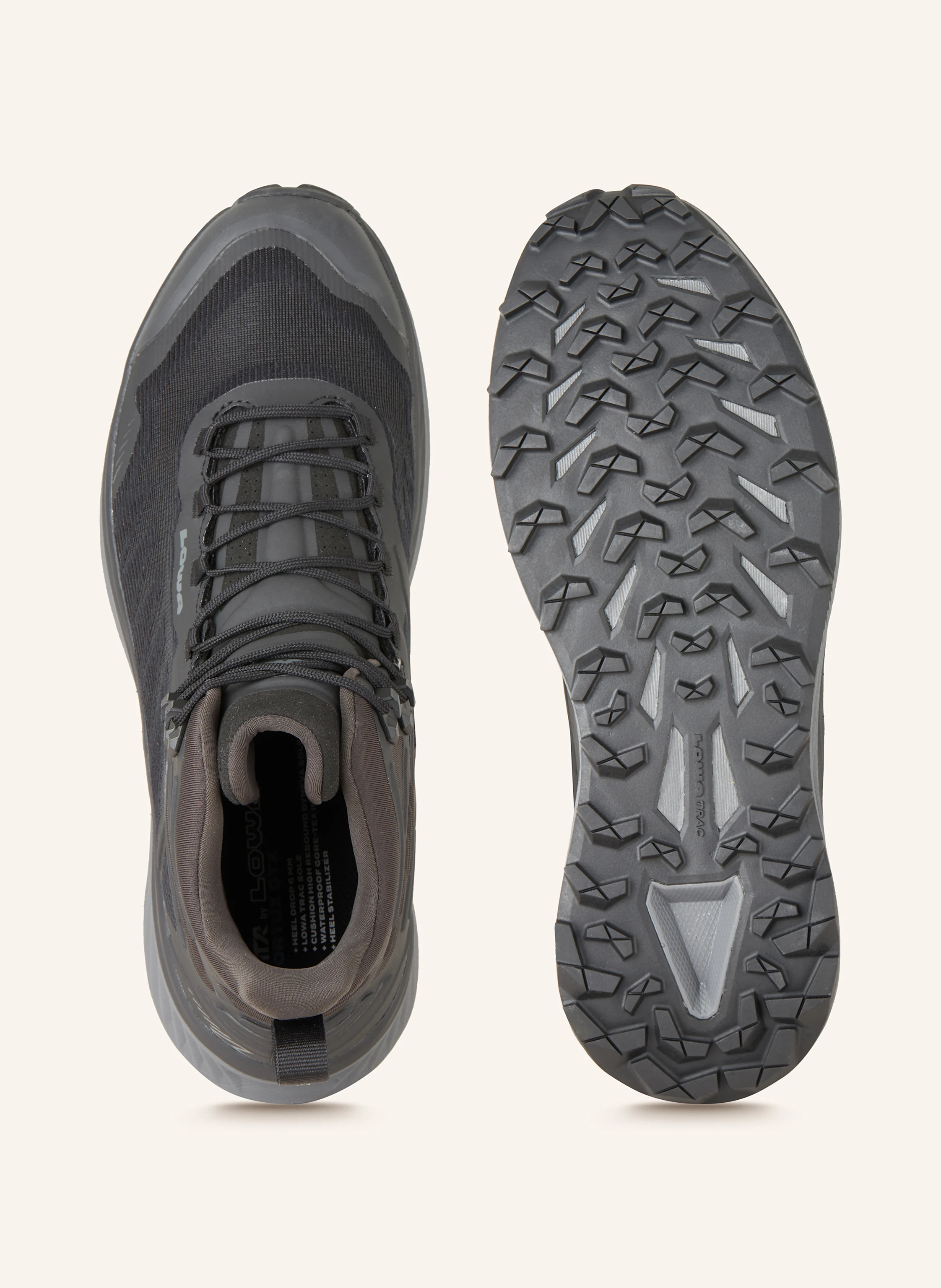 LOWA Wanderschuhe RENEGADE EVO ICE GTX
