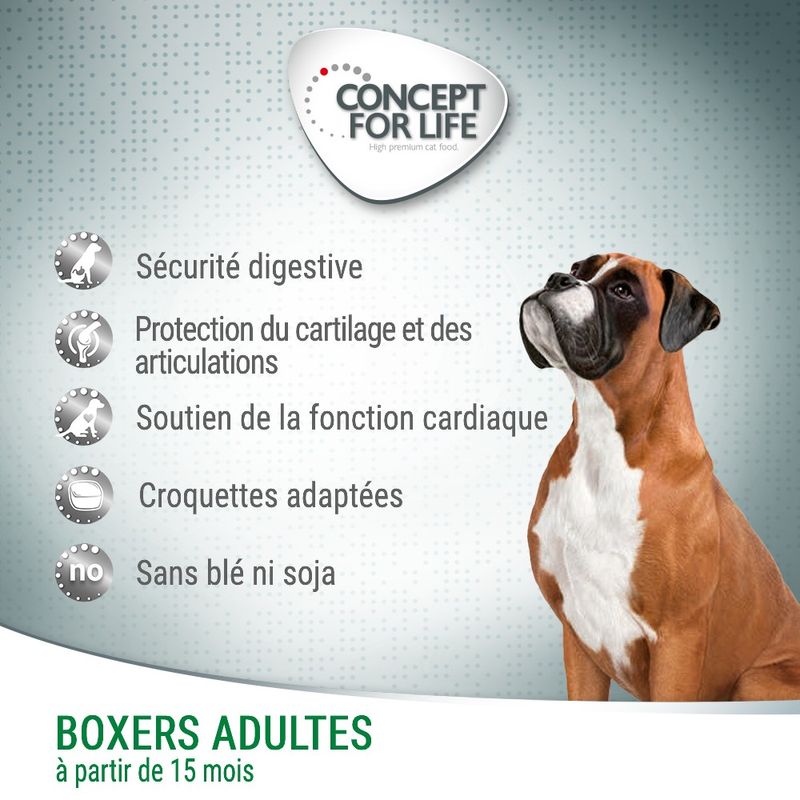 Concept for Life Boxer Adult pour chien