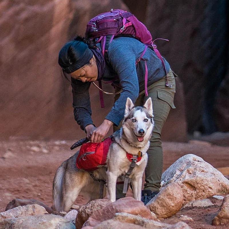 Kurgo Baxter Backpack Chili/Barn Red | Medium | 11633