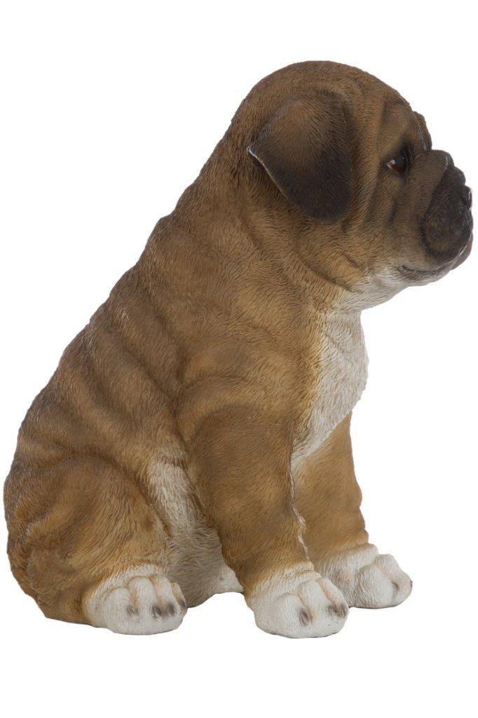 Mops Anton - braun-weiß - 21 cm